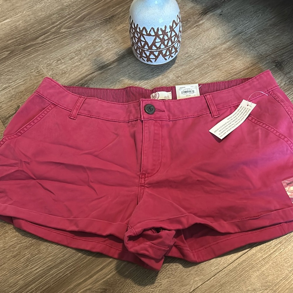 NWT pink shorts! Size 17